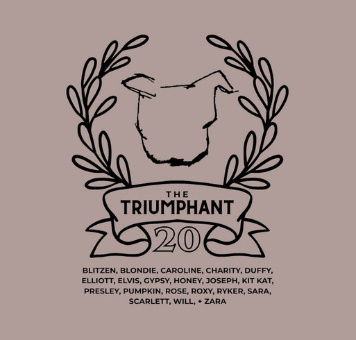 The Triumphant Twenty shirt design - zoomed