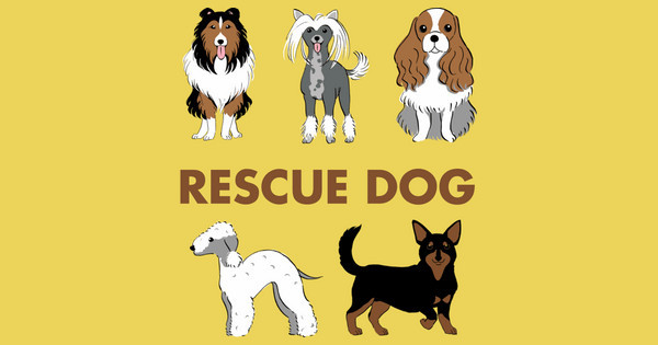 rescue dog