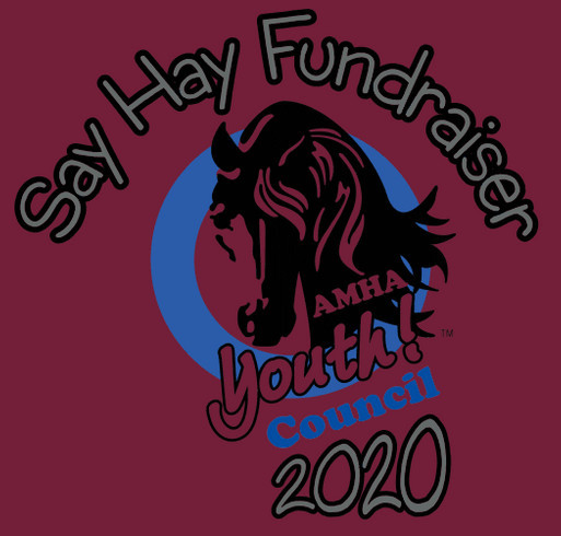 Youth Council Say Hay Fundraiser 2020 shirt design - zoomed