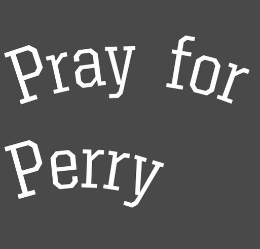 Pray for Perry shirt design - zoomed