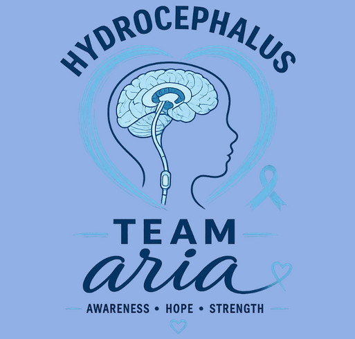 Team Aria shirt design - zoomed