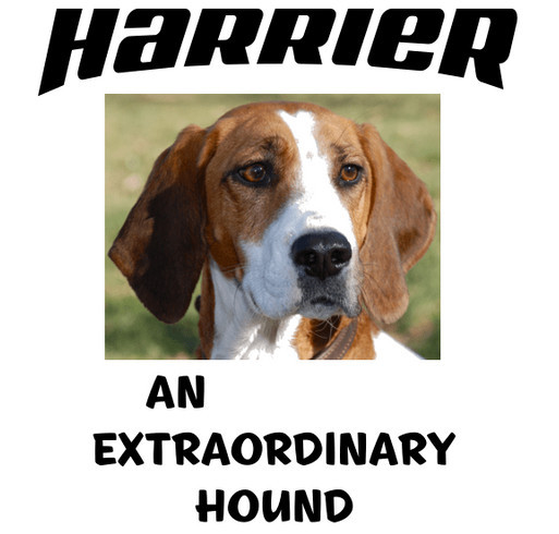 WE LOVE HARRIERS! shirt design - zoomed