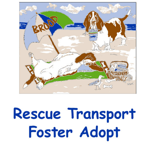 Basset Rescue of Old Dominion Ramble T-Shirts shirt design - zoomed