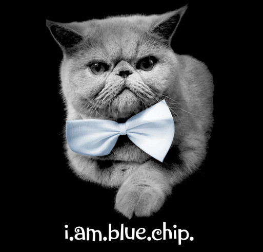 Blue Chip Smexiness T-Shirt Campaign shirt design - zoomed