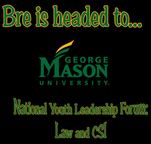 National Youth Leadership Forum: Law and CSI shirt design - zoomed