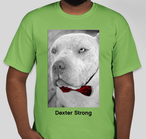 Dexter Strong Fundraiser - unisex shirt design - front