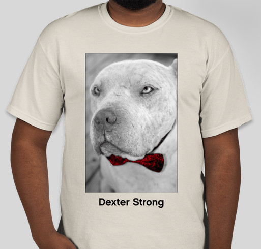 Dexter Strong Fundraiser - unisex shirt design - front