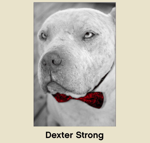 Dexter Strong shirt design - zoomed