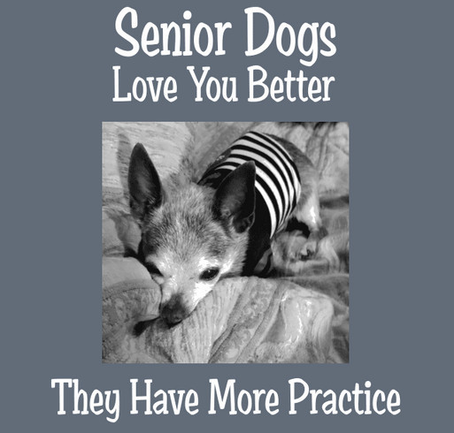 Vetting Funds for Senior Dogs shirt design - zoomed
