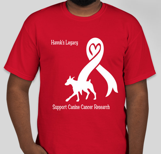 Havok's Legacy Fundraiser - unisex shirt design - front