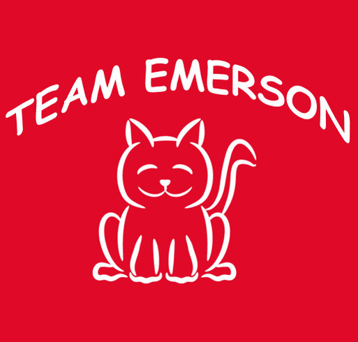 Emersons vet care and supplies shirt design - zoomed