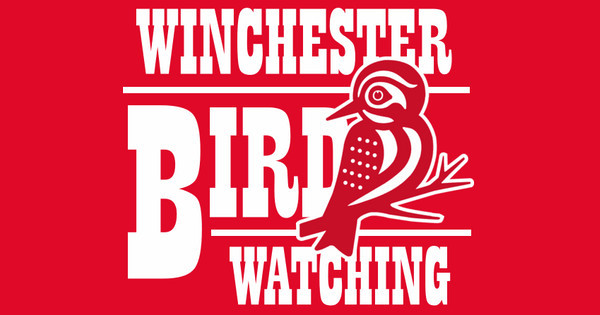 Winchester Bird Watching