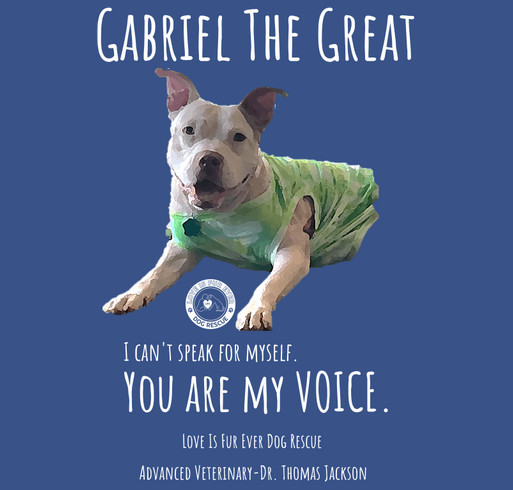 Gabriel the Great shirts shirt design - zoomed