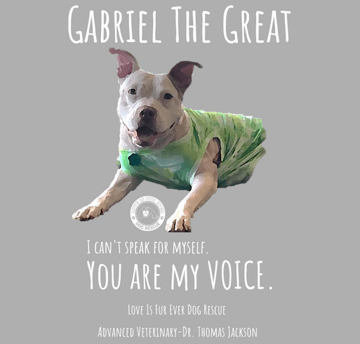 Gabriel the Great shirts shirt design - zoomed