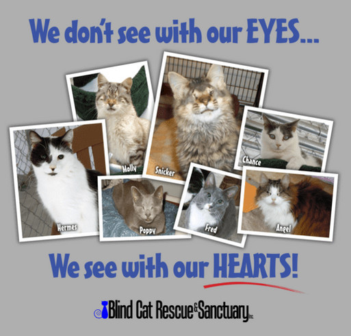 We See with our heart shirt design - zoomed