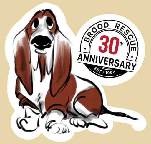 BROOD 30th Anniversary and Ramble shirt design - zoomed