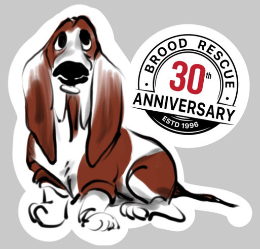 BROOD 30th Anniversary and Ramble shirt design - zoomed