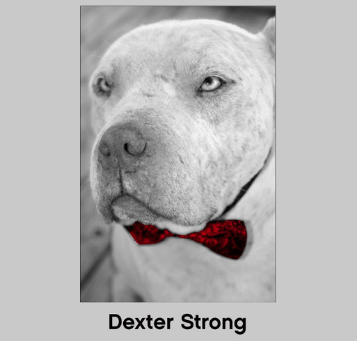 Dexter Strong shirt design - zoomed