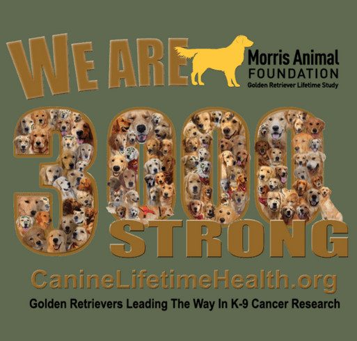 Golden Retriever Lifetime Study/Morris Animal Foundation shirt design - zoomed