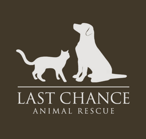 Let's Sell T-Shirts So We Can SAVE More Homeless Pets! shirt design - zoomed