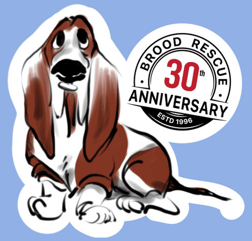 BROOD 30th Anniversary and Ramble shirt design - zoomed