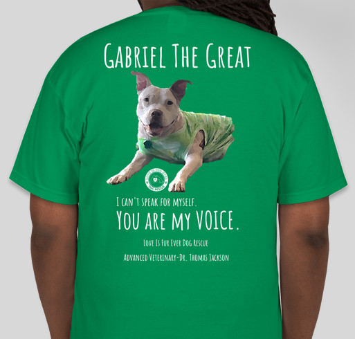 Gabriel the Great shirts Fundraiser - unisex shirt design - back