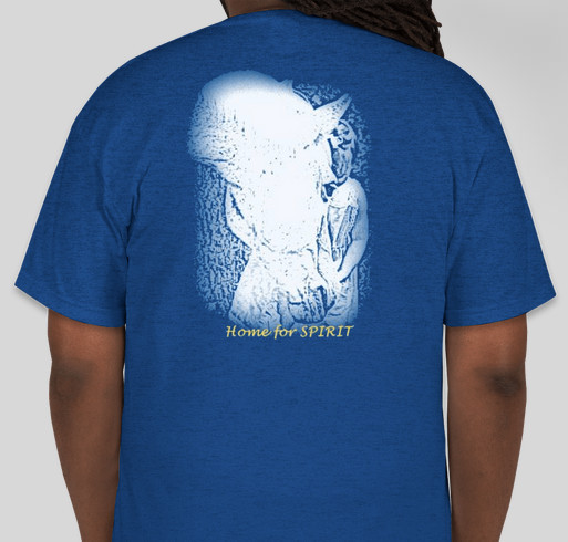 Support SPIRIT Fundraiser - unisex shirt design - back