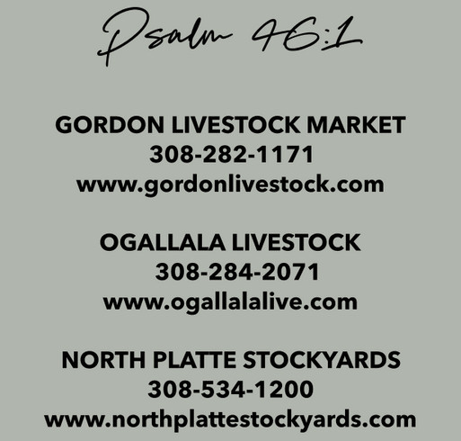 Sandhills Strong 2 shirt design - zoomed