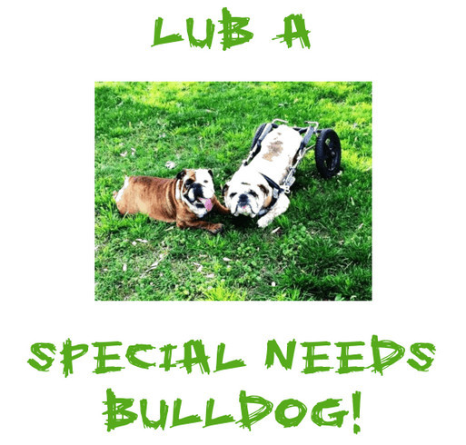 Opie's" Special Needs" English Bulldog Rescue FanWear shirt design - zoomed