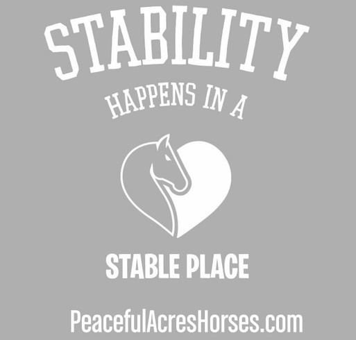 Stability Happens in a Stable Place 2022 shirt design - zoomed