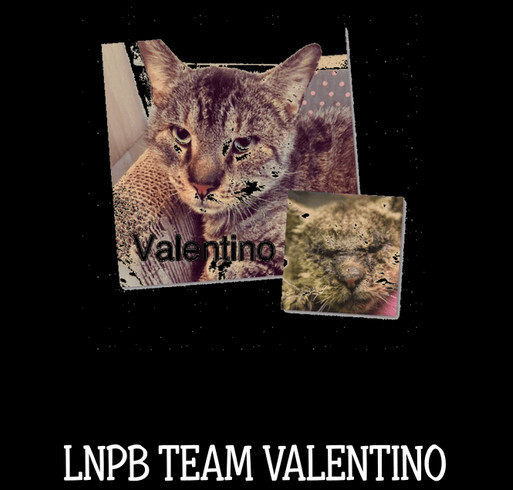 Leave No Paws Behind Team Valentino shirt design - zoomed