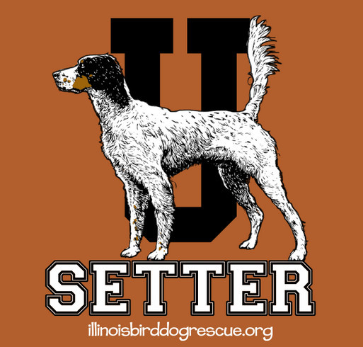 This fundraiser is dedicated to all the English Setters we have saved this year and also to help Harrison with his Heartworm medical expenses. shirt design - zoomed