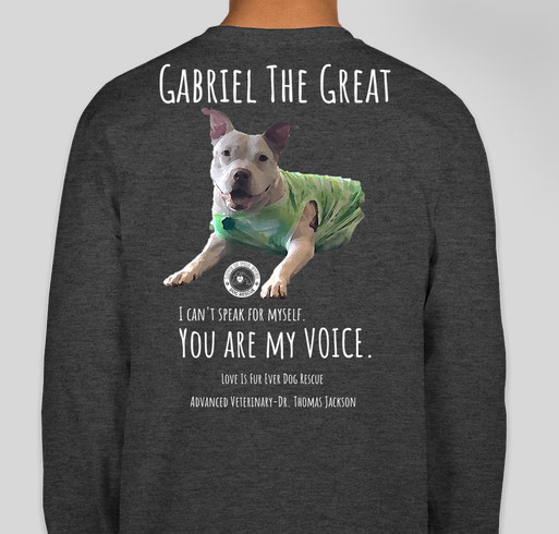 Gabriel the Great shirts Fundraiser - unisex shirt design - back