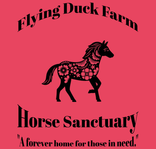 Help Flying Duck Farm Horse Sanctuary with hay and spring vaccine expenses. shirt design - zoomed