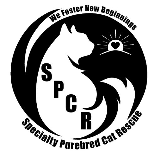 SPCR 2023 SPRING T-SHIRT FUNDRAISER "WE FOSTER NEW BEGINNINGS." shirt design - zoomed