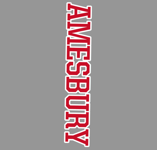 Amesbury Jets - Pants shirt design - zoomed