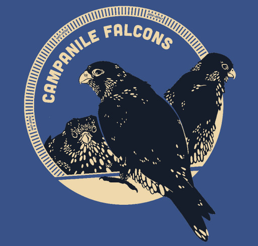 Campanile Falcons Winter Fundraiser 2021 Design shirt design - zoomed