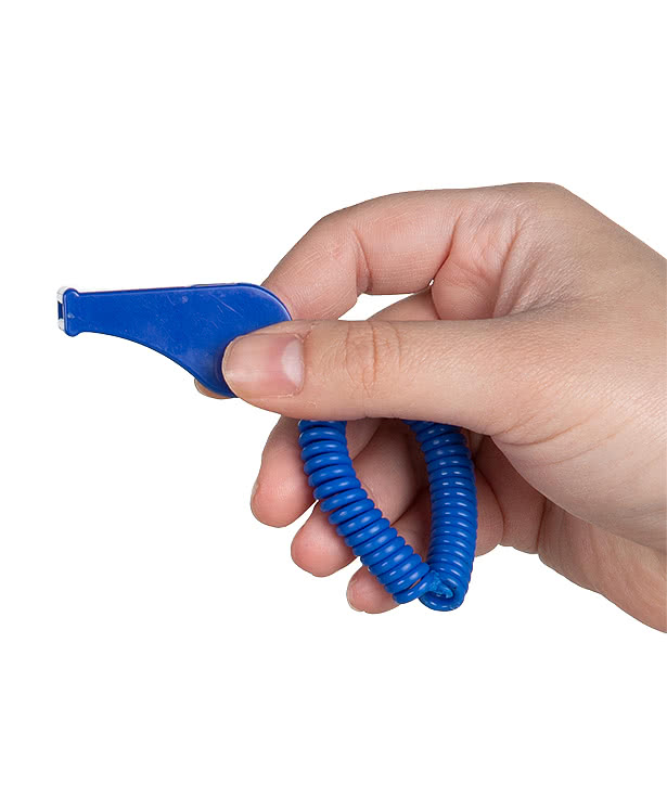 Coil Whistle Keychain Bracelet