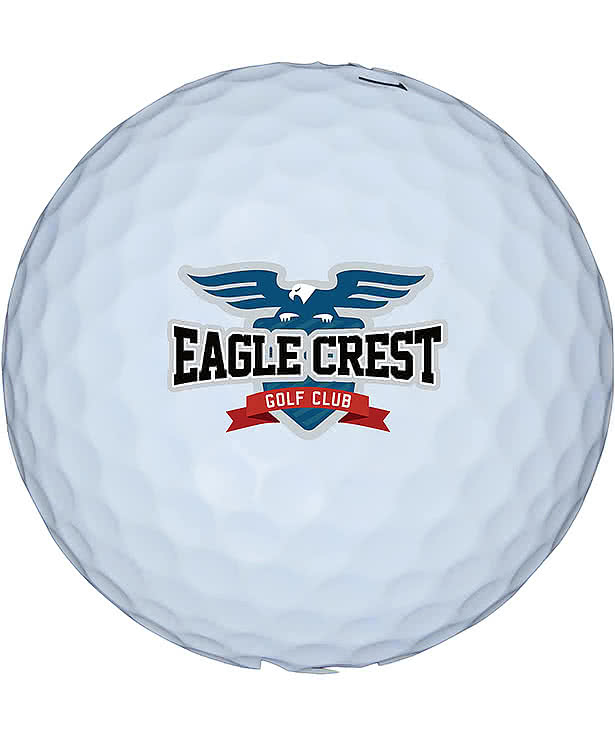 Bridgestone E6 Soft Golf Balls (Box of 12)