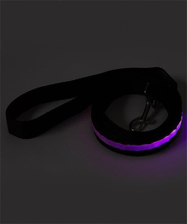 Rechargeable LED Light-Up Dog Leash