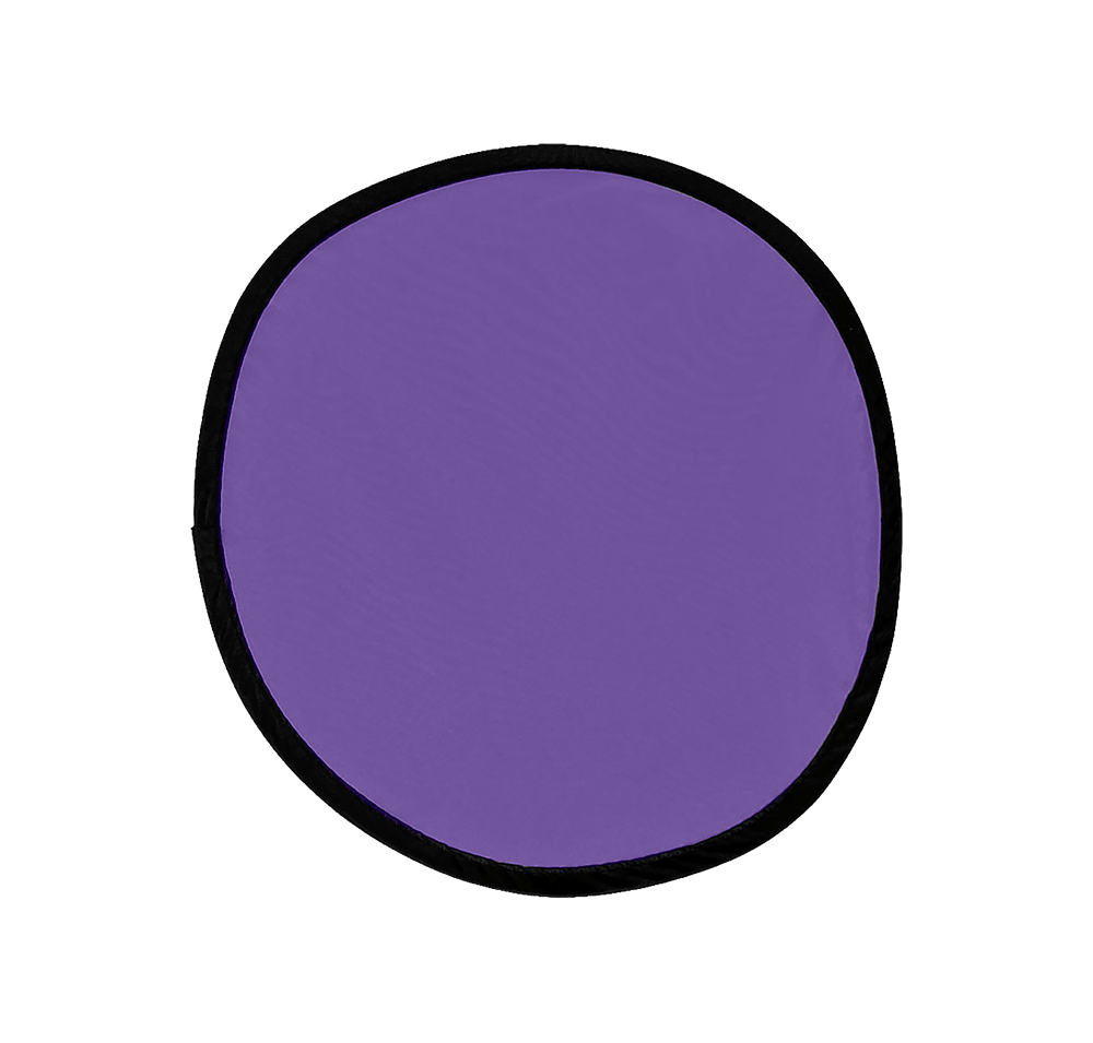 Flying Disk with Matching Pouch-default