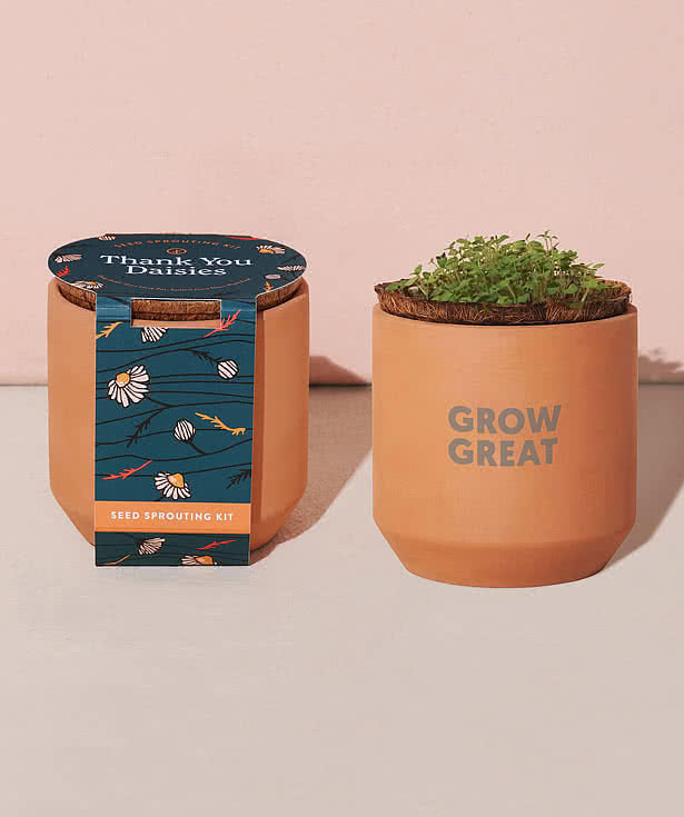 Laser Engraved Modern Sprout Tiny Terracotta Thank You Daisies Grow Kit