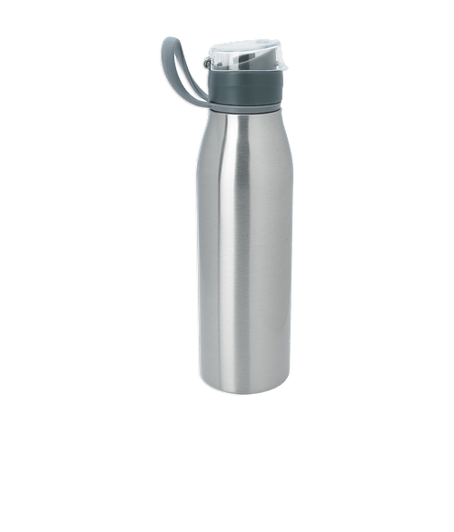 Full Color 25 oz. Spectra Stainless Steel Water Bottle in Silver