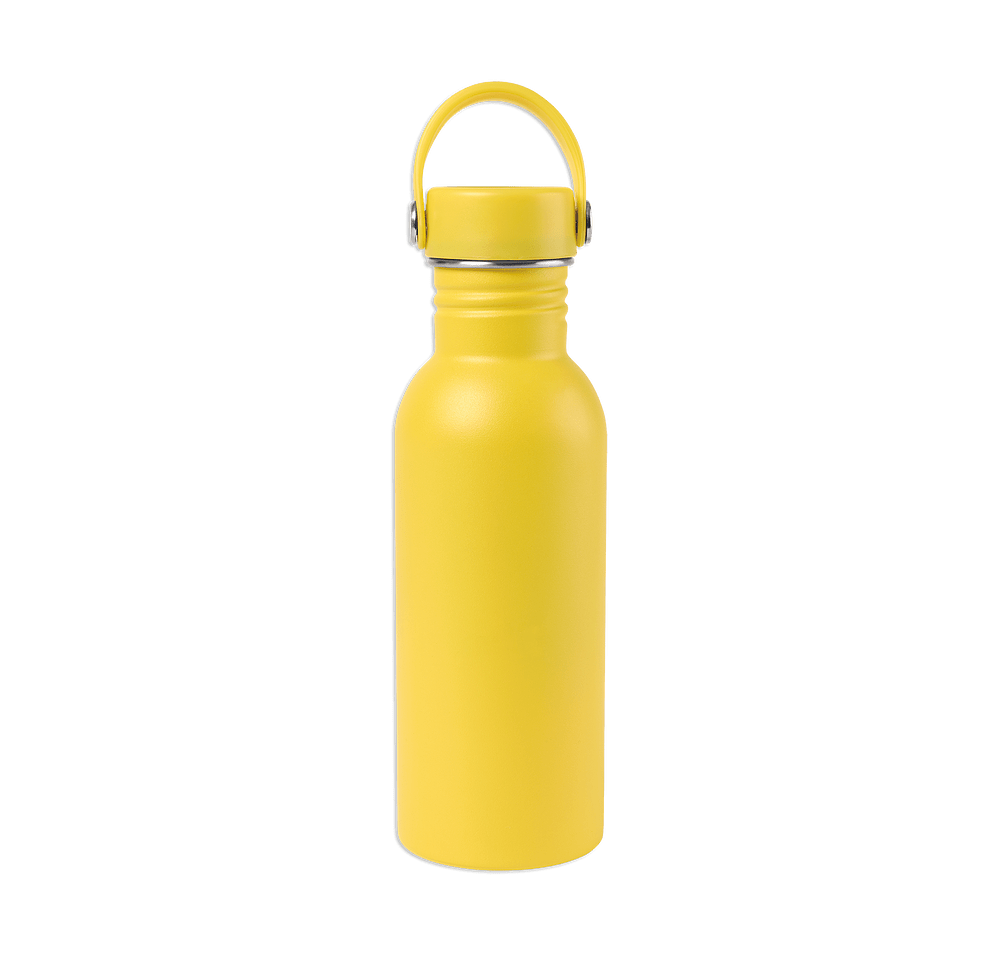 20 oz. Arlo Classics Stainless Steel Hydration Water Bottle -default