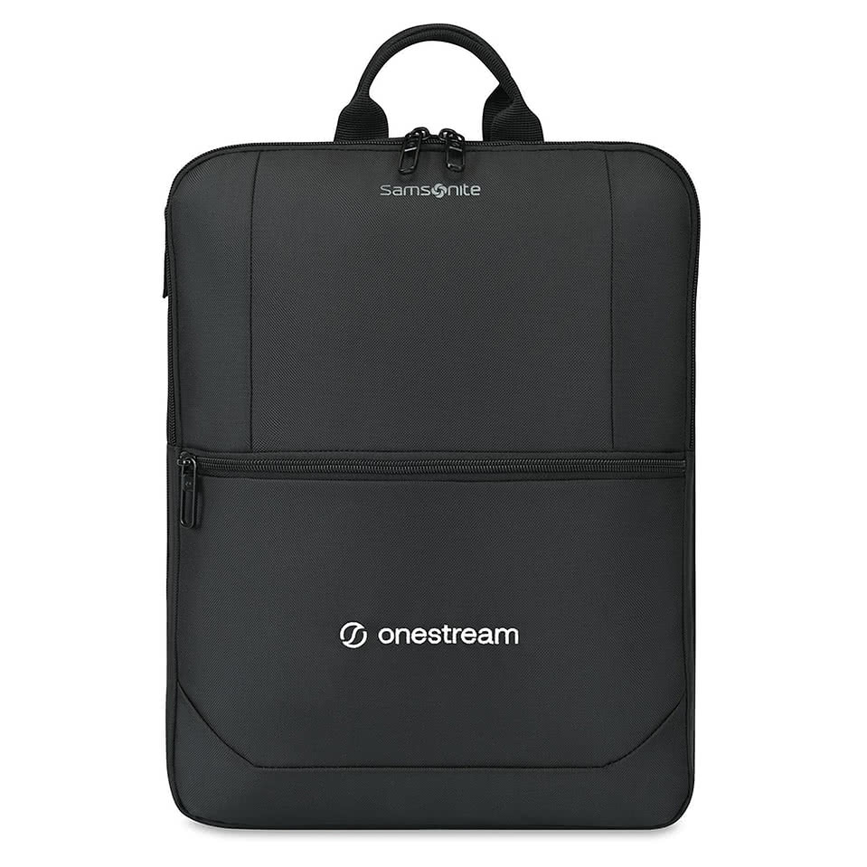 Samsonite Convertible Luggage Cover and 16" Computer Backpack