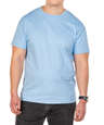 Hanes Authentic T-shirt