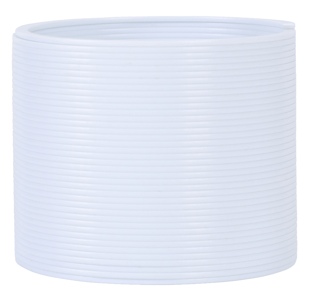 Dragon Spring Toy-default