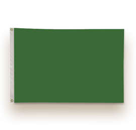 Full Color 2' x 3' Single Sided Nylon Flag - Color: Kelly Green