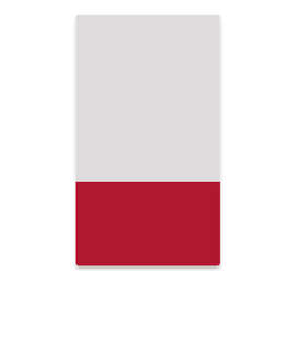 2" x 3.5" Vertical Clear Plastic Business Cards - Color: Clear / Cardinal