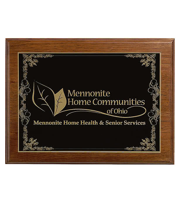 Ashford Large Plaque Award